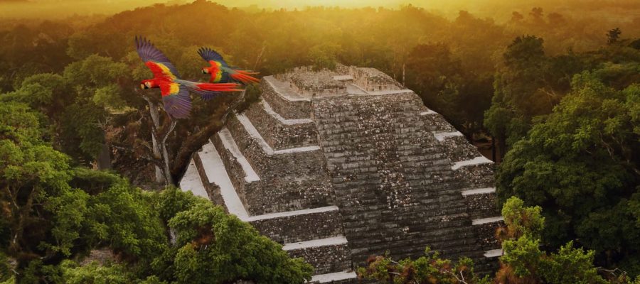 Guaras Rojas volando sobre el Parque Arqueológico Copán